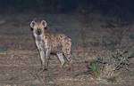 Zambia_353