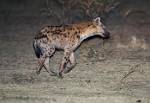 Zambia_355