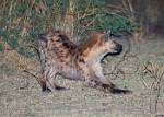 Zambia_359