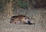 Zambia_361