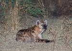 Zambia_362