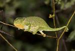 Zambia_364