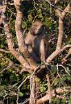 Zambia_368
