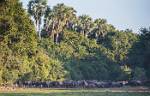 Zambia_377