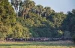 Zambia_378