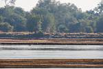 Zambia_387
