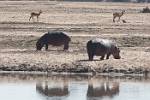 Zambia_388