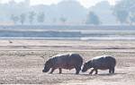 Zambia_389