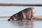 Zambia_390