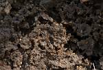 Zambia_395