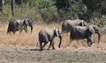 Zambia_399