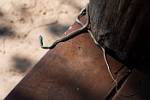 Zambia_404