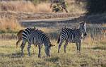Zambia_414