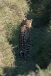 Zambia_417