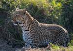 Zambia_418