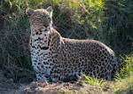 Zambia_419