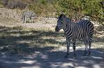 Zambia_446