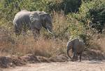 Zambia_458