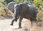 Zambia_459
