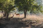 Zambia_470