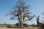 Zambia_471