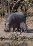 Zambia_472