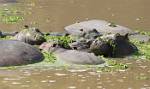 Zambia_475