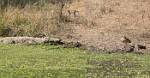 Zambia_478