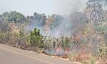 Zambia_480