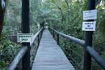 Zambia_489
